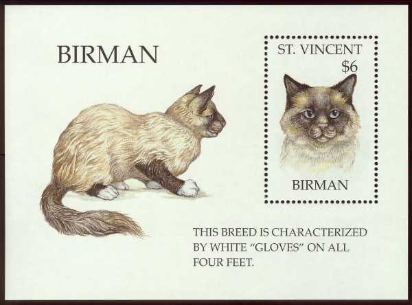 Birman