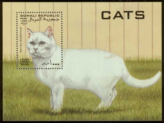 Cats and the Weather