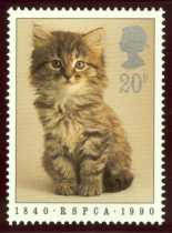 Creature Great and Small