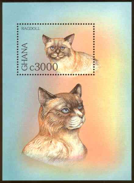 Hamlet's Cat's Soliloquy