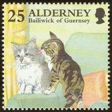 The Kitten's Bailiwick