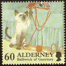 The Kitten's Bailiwick