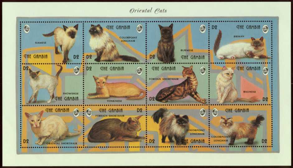Oriental Cat Food