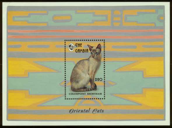 Oriental Cat Food