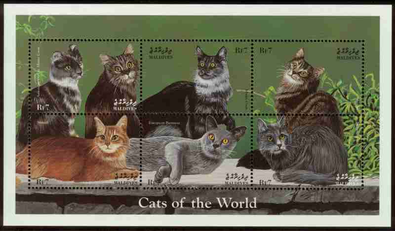 You Want Me To What?